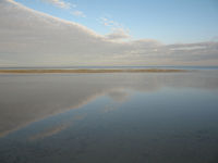 Beach, Roebuck Bay Caravan Park